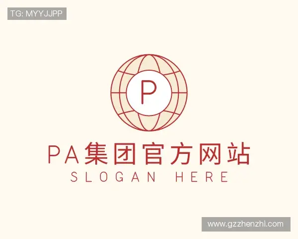 关于PA集团